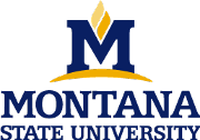 Montana State University Logo